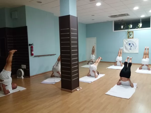 Instituto de Yoga - Gran Fraternidad Universal — yoga-studio i Trille, Cádiz — bild 3